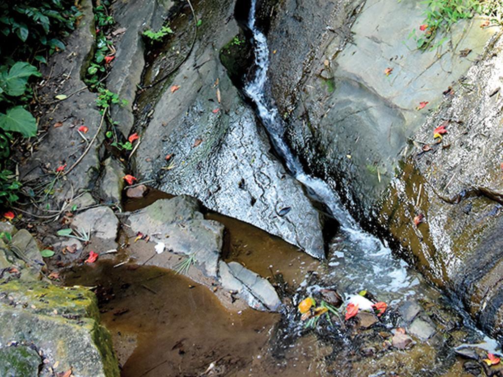 Aronka Homestay Kandy Esterno foto