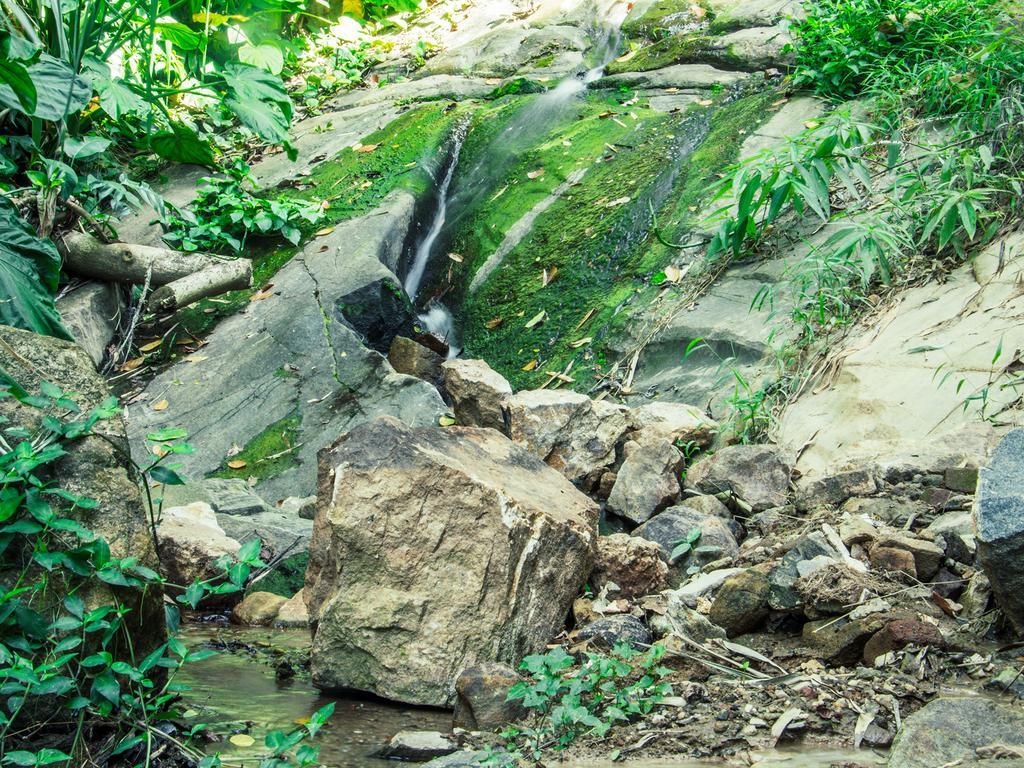 Aronka Homestay Kandy Esterno foto