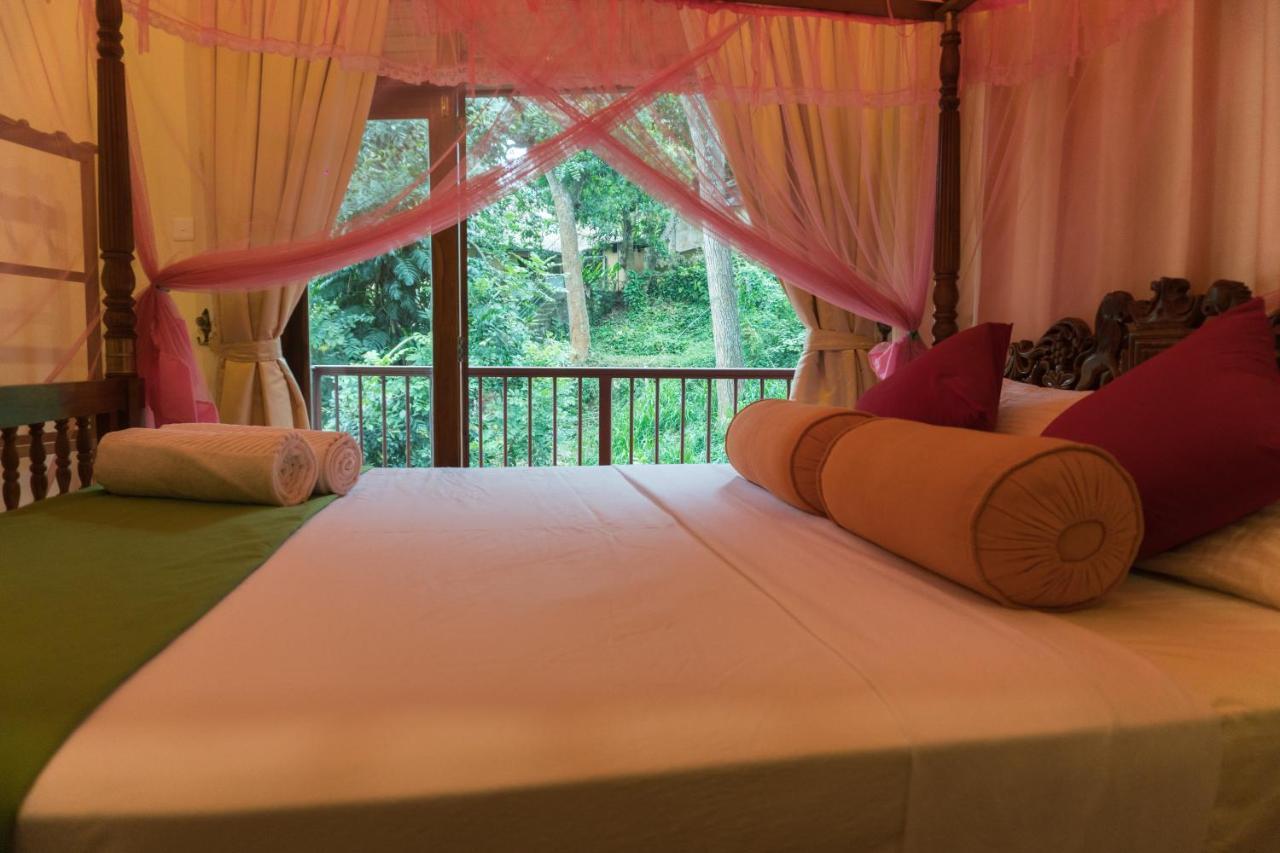 Aronka Homestay Kandy Esterno foto